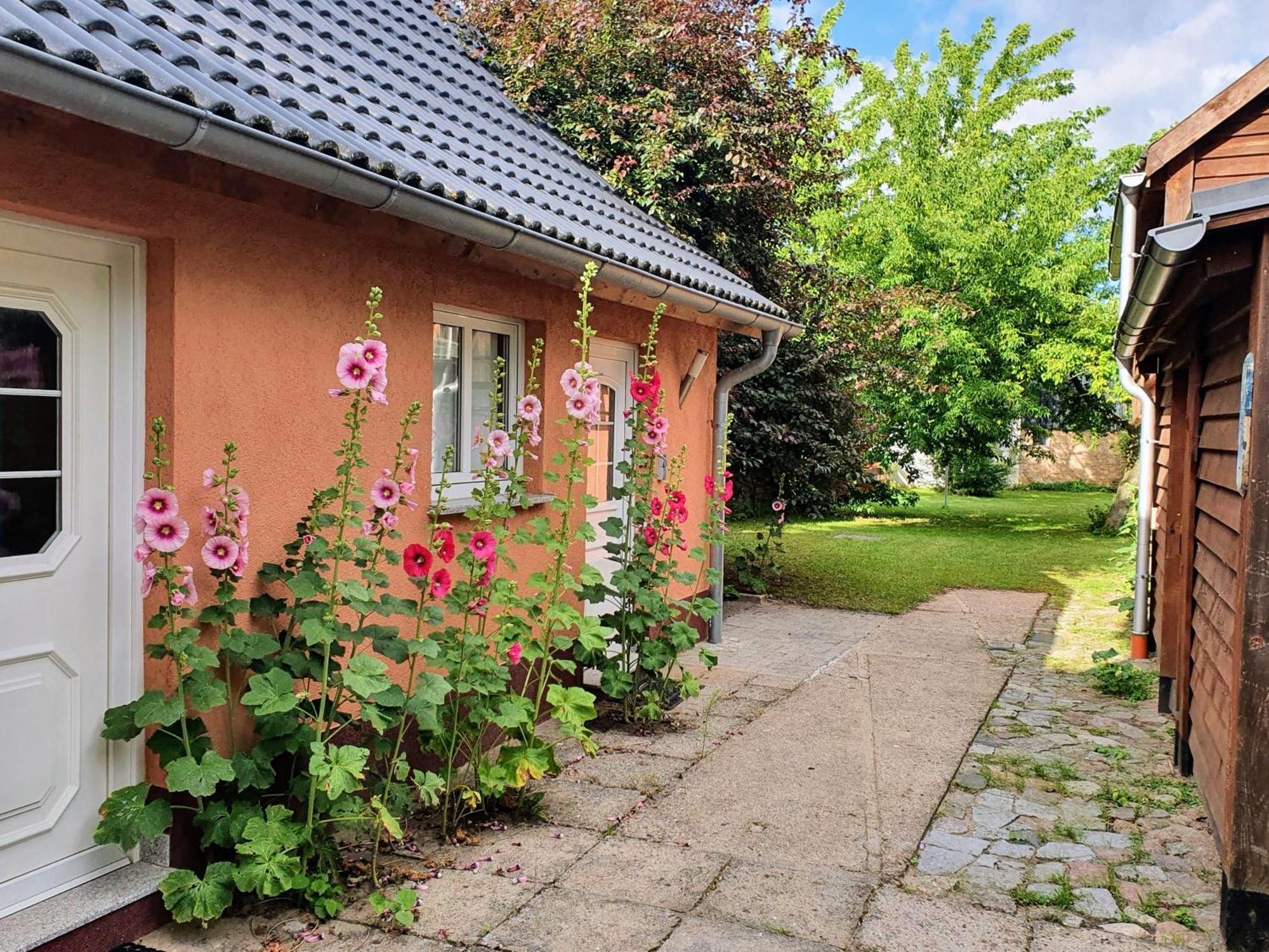 Ferienhaus Moewe Hanshagen  Zewnętrze zdjęcie